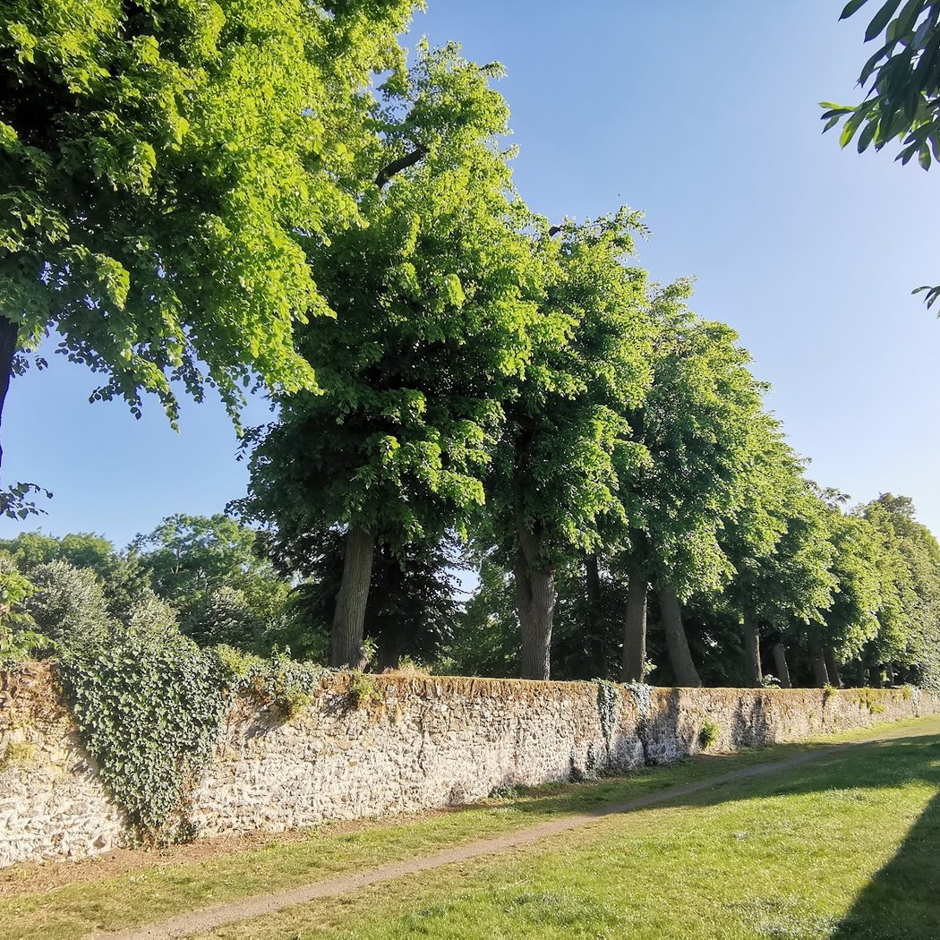 Parc du centre culturel Wladimir d’Ormesson 1